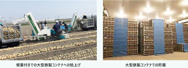 ＪＡさがの広域たまねぎ施設