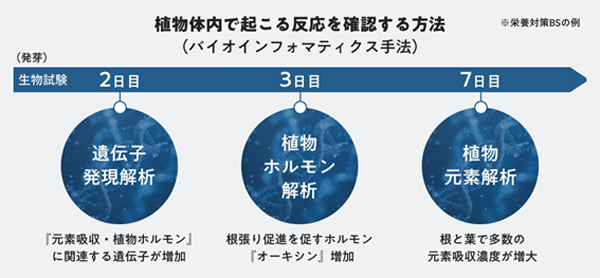 植物体内の反応を確認する方法