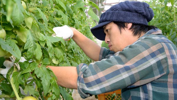 新たな農業の担い手を育成　就農支援で研修生を募集中　静岡県