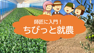 プロ農家が教える3日間　田植え体験希望者を募集福井県福井市.jpg