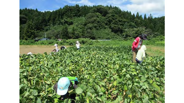 秋田市の農村体験ツアーの様子