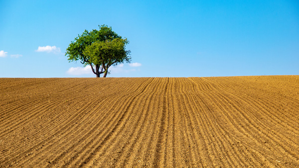〇ドイツの農地