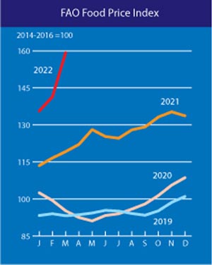 ＦＡＯ食料価格指数　159.3ポイント　過去最高を更新