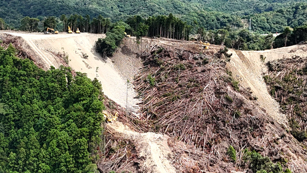 鴨川メガソーラーの事業区域（千葉県鴨川市）では木々が多数伐採され斜面に置かれている。ドローンで撮影。鴨川山と川と海を守る会提供。