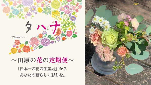 日本一の花の生産地からアレンジで届く「花の定期便」注文受付中　愛知県田原市