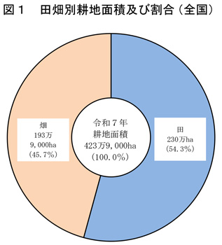 耕地面積7月15日現在