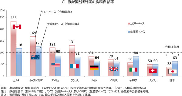 日本　食料　外国依存率62％　諸外国比較　農水省公表