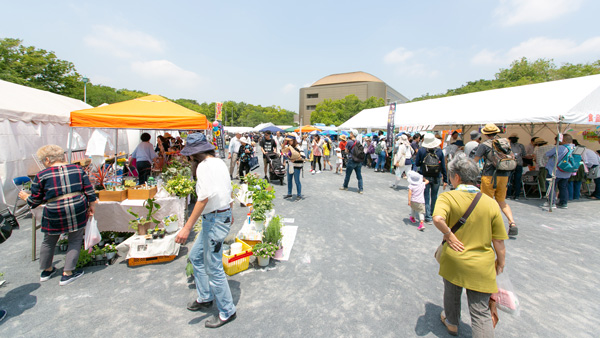 「花と緑の市民フェア」「川崎市畜産まつり」等々力緑地で同時開催　川崎市