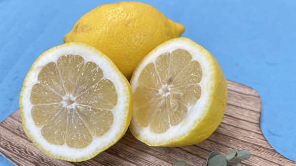 まつやま農林水産物ブランドに認定された「興居島レモン」