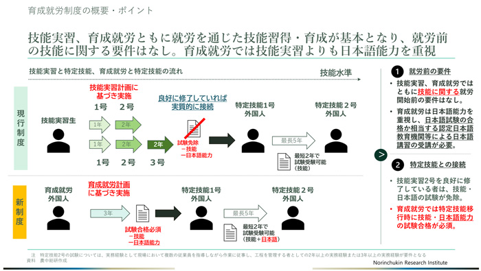 技能実習制度と育成就労制度の比較（農中総研資料）