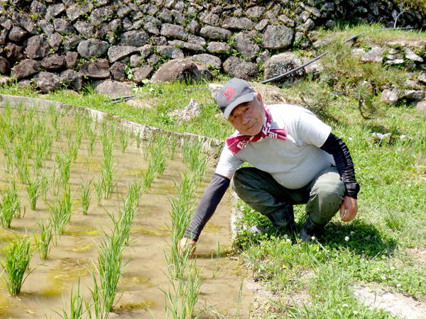 棚田から情報発信する保存会の小山舜二さん