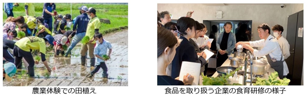 食卓と農の現場の距離を縮める取組と今後の展望「令和6年度-食育白書」農水省