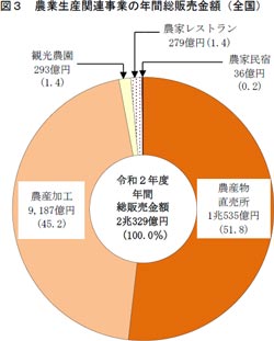 農業生産関連事業の年間総販売金額（全国）