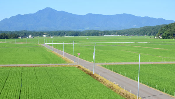 新潟県の南西部に広がる高田平野（頚城平野）