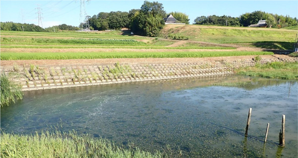農業土木・鳥獣対策でプロフェッショナル型キャリア採用　課長級の即戦力を募集　神戸市