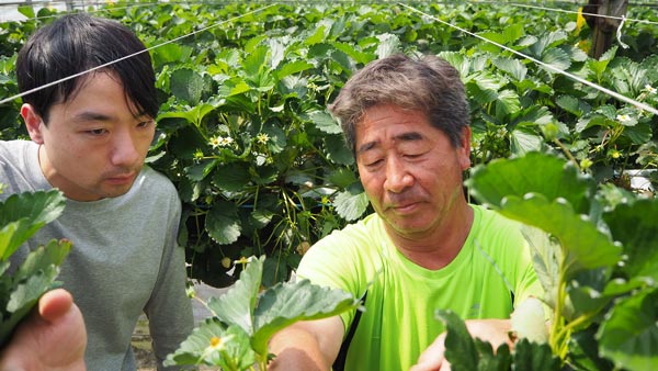 ベテラン農家が指導