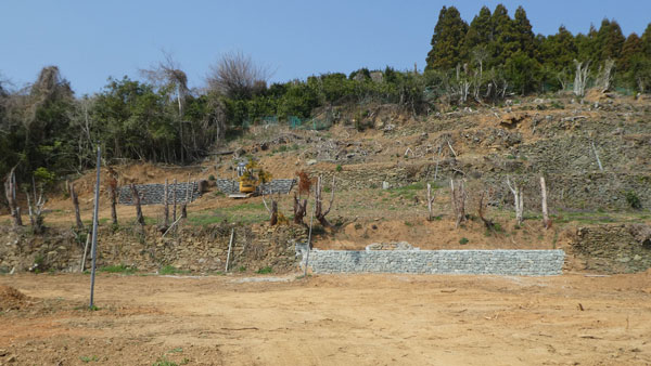 県の事業を活用して基盤整備した園地