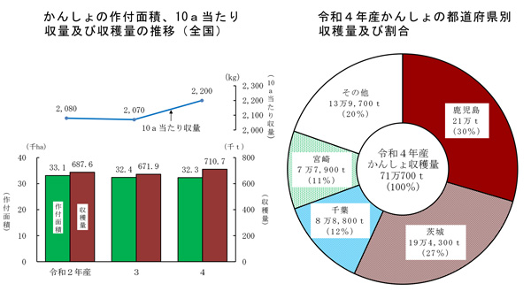 かんしょ　収穫量６％増加　鹿児島県「油断せず基本対策継続」