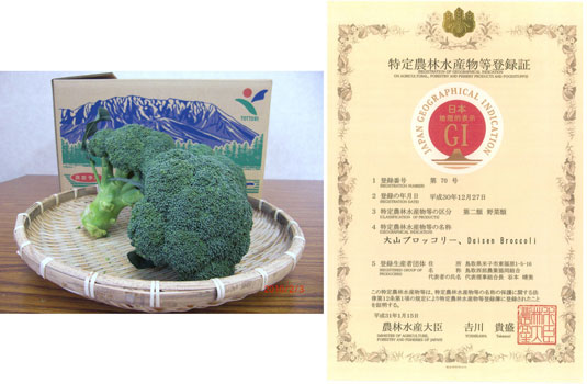 日本唯一のGI登録「大山ブロッコリー」