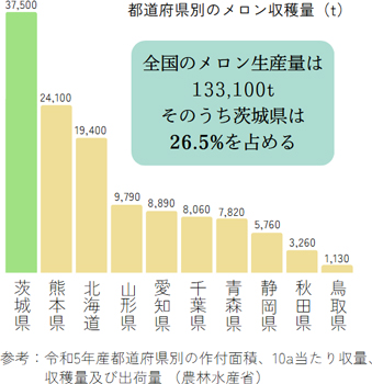 都道府県別のメロン収穫量（t）