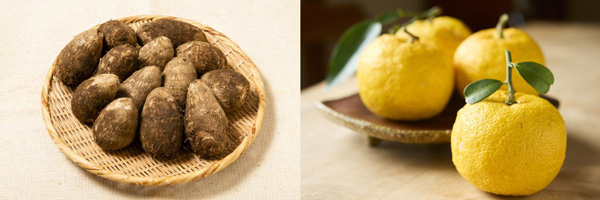 販売予定のさといも（左）と桂木ゆず