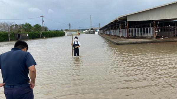 「水が来ない！」畜産農家などに打撃　台風14号　宮崎県内で農業被害広がる