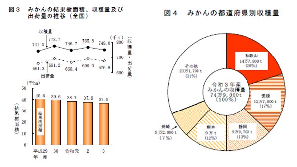 みかん　2021（令和3）年収穫量　令和元年並みの74万9000ｔ