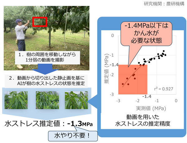 ももの樹の動画でAIが水分状態を診断
