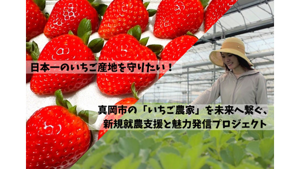 栃木県真岡市「いちご王国」の未来を守るプロジェクトに挑戦中.jpg