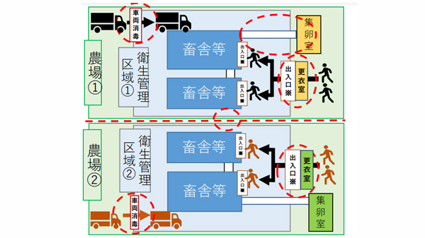 鳥インフル殺処分回避へ　農場分割イメージ.jpg