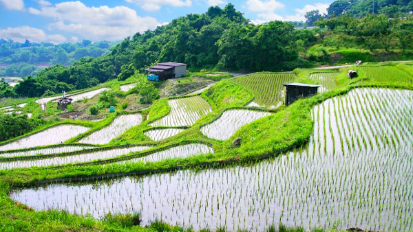 富山県など3県4計画を認定　指定棚田地域振興活動計画　農水省ほか