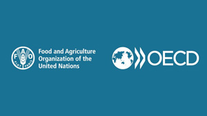 FAO-OECD.jpg
