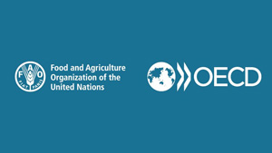 飢餓撲滅と脱炭素に生産性向上10年で28％必要　OECDとFAO