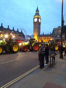 ビッグベン前広場に集結した抗議農民のトラクター （FFA<Farmers For Action>のFacebookより）