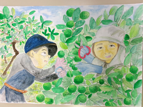 準特選（ＪＡ組合長賞）の作品