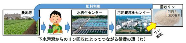 「下水汚泥」から回収した「リン」を資源に　肥料利用を開始　横浜市