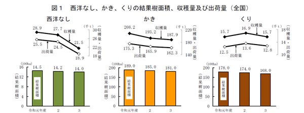 西洋なし　収穫量大幅減　雪害と夏の少雨で　2021（令和3）年産