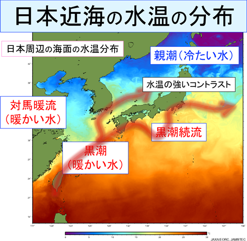 日本近海の水温の分布