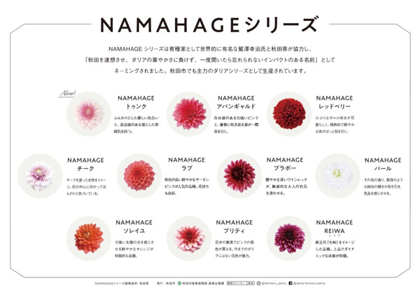 NAMAHAGEダリア紹介パネル