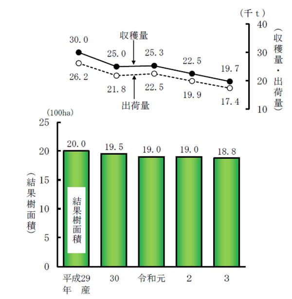 キウイフルーツ収穫量