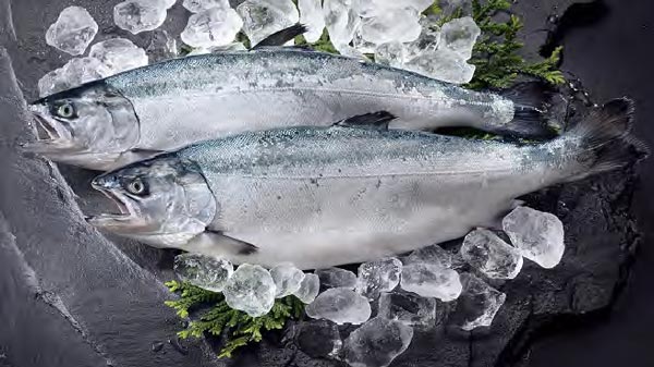 海外で直接申請の日本水産物で初「みやぎサーモン」ベトナムでGI登録　農水省