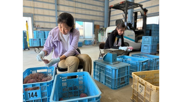 おてつたび×ＪＡ里浦×鳴門市「半農半X」推進シェアハウス事業「なると金時編」開始