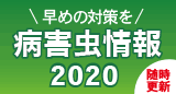 bn_byogaichu2020.gif