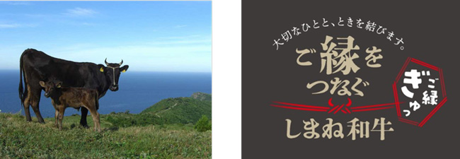 「しまね和牛」の魅力発信　プロモーション強化プロジェクト始動　島根県