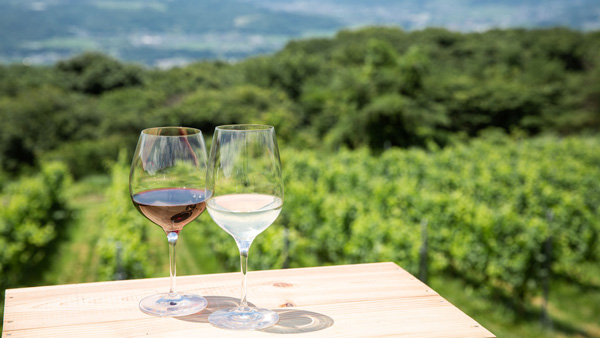 ワインシティ推進支援で地域の魅力発信「地域おこし協力隊」を募集　長野県東御市