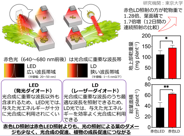 赤色レーザーダイオード
