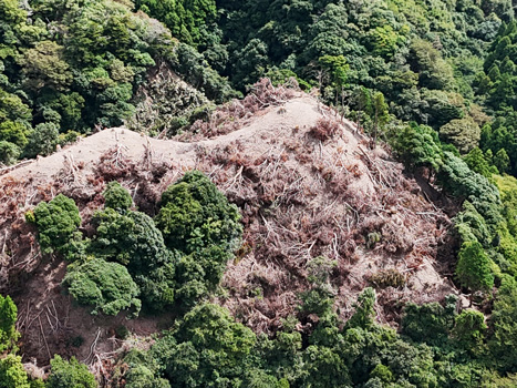 大規模な山林開発を伴うメガソーラーが問われている（鴨川の山と川と海を守る会提供）