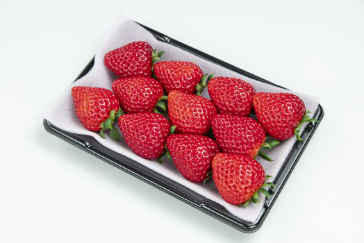 販売予定のいちご「あまりん」