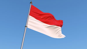 インドネシアが日本産食品の輸入規制を撤廃　農水省発表