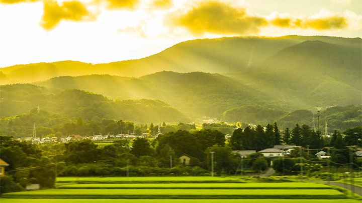 生産者のすそ野拡大で農村活性化も－みどり戦略の狙い